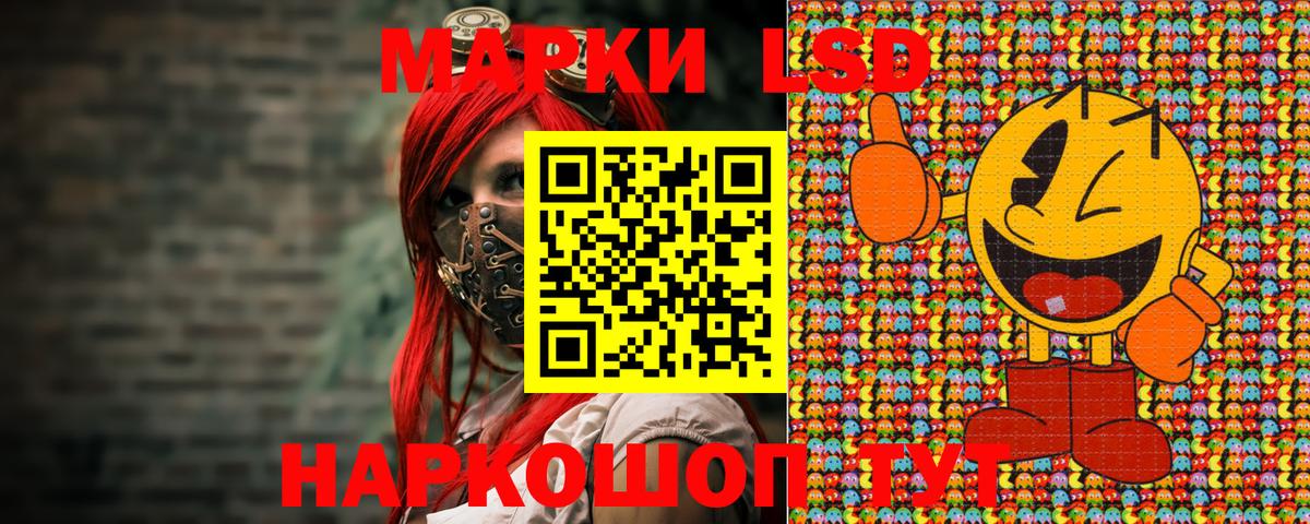  COCAIN Гусиноозёрск
