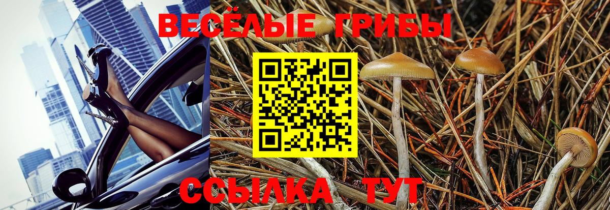 Гусиноозёрск  Галлюциногенные грибы MAGIC MUSHROOMS  купить  сайты  Вход с VPN 